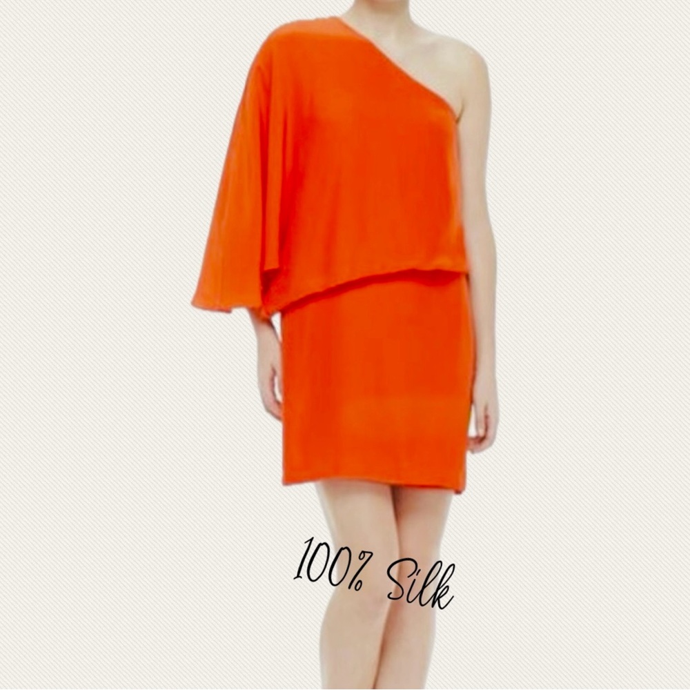DONATED SCHOOL PROM Elizabeth and James 100% Silk dress Host Pick!